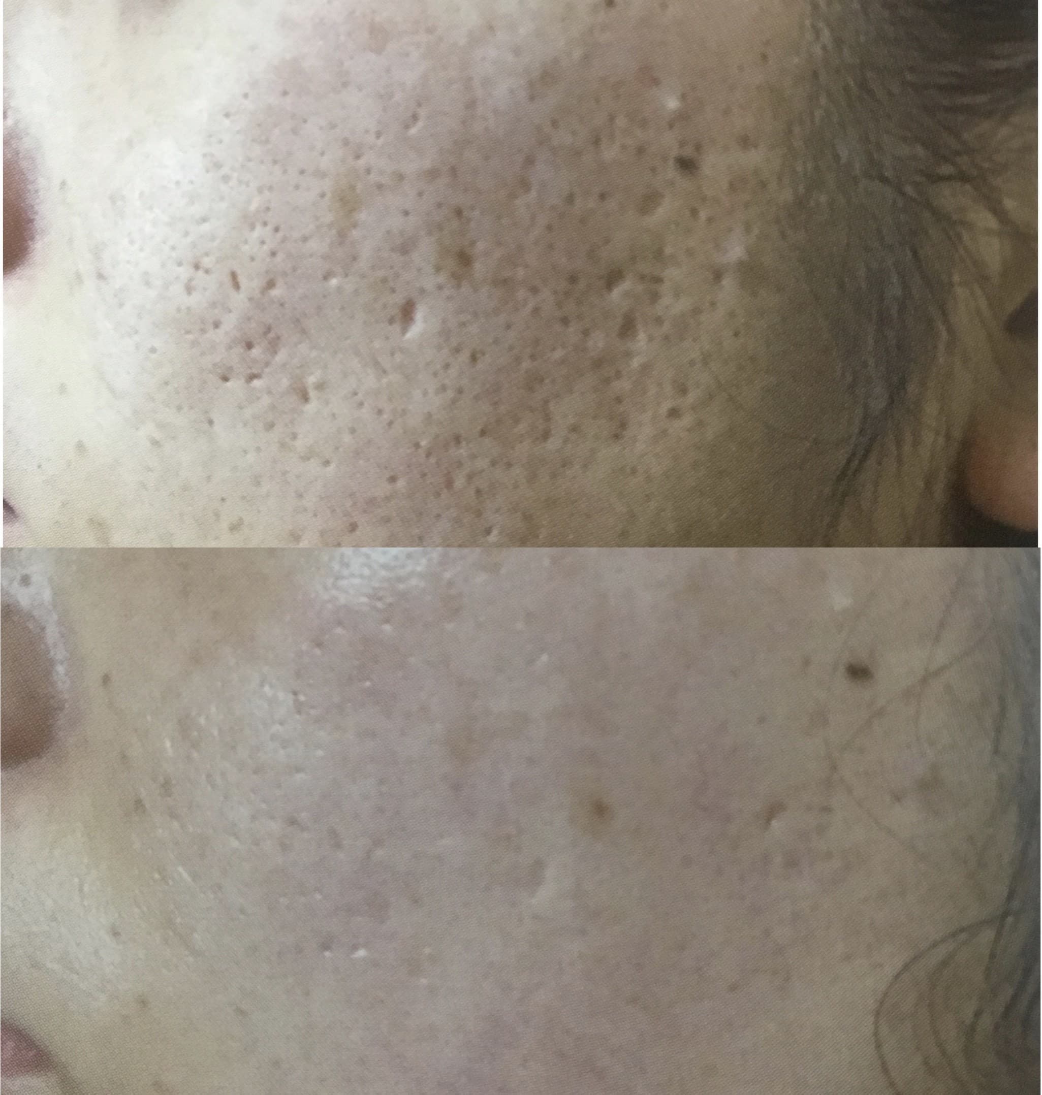 tree_herbs7.jpg