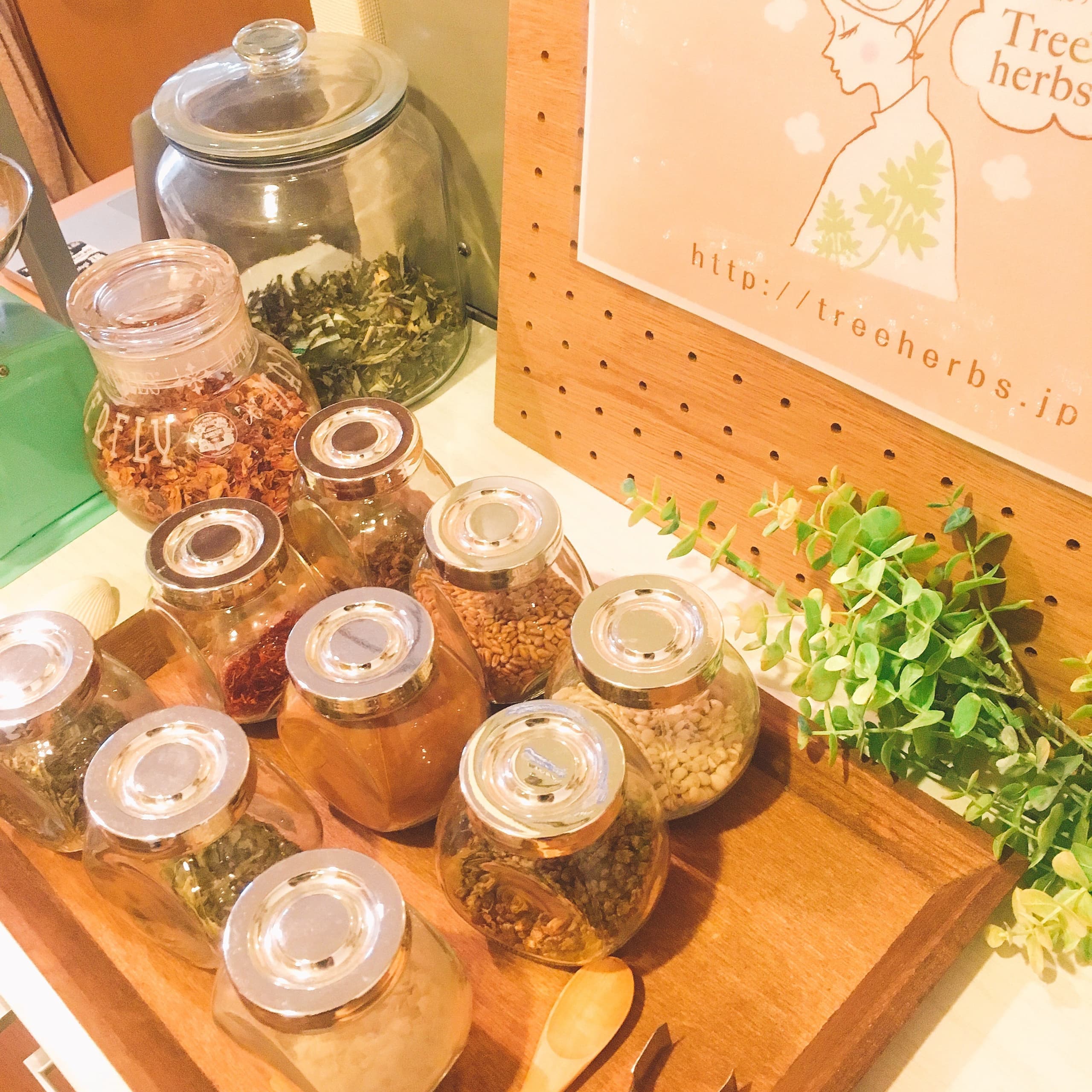 tree_herbs2.jpg